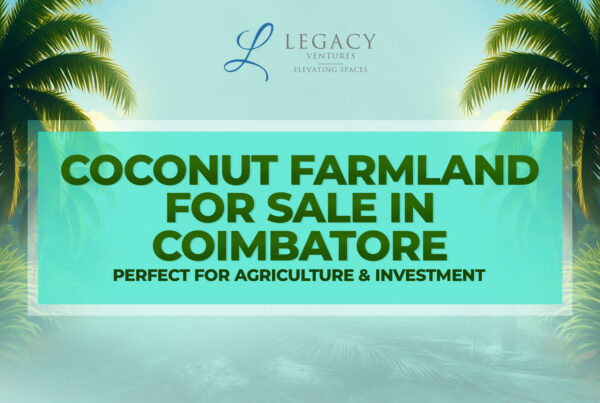 coconut farm land for sale in Coimbatore