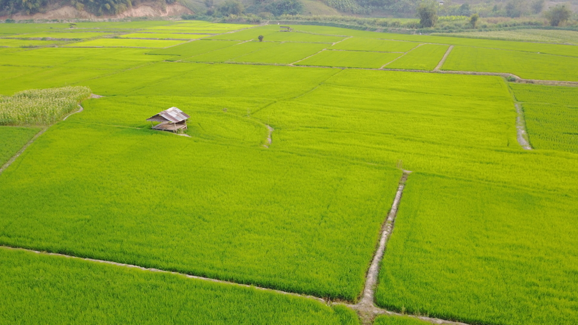 safari farms | farm land property for sale