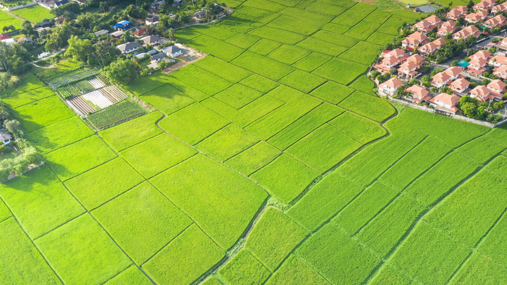 varahanadu | farm house for sale in coimbatore